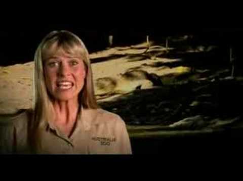 Stanley Replės „IRWIN" 100 mm 4LW video