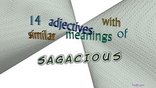 sagacious - 16 adjectives which mean sagacious (sentence examples)