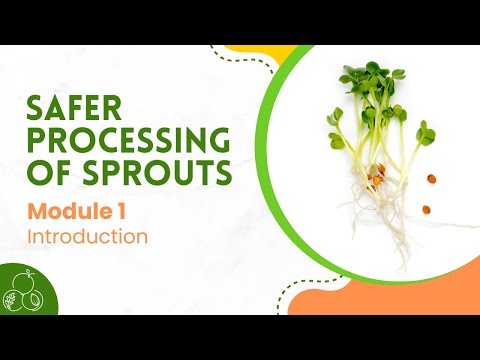 Sprouts: Module 1 | Introduction to Food Safety