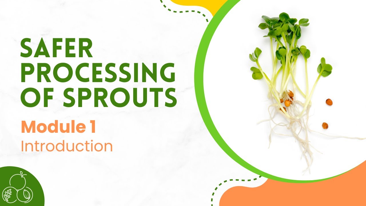 Sprouts: Module 1 | Introduction to Food Safety