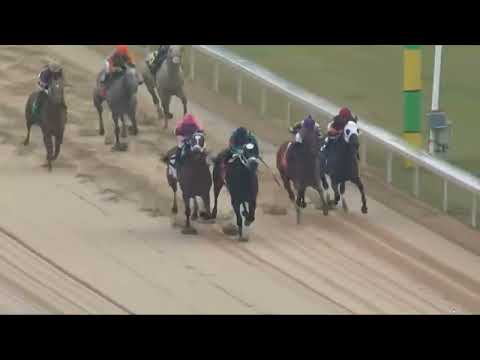 Oaklawn Park USA  14 Feb 2026 - RACE NO -03