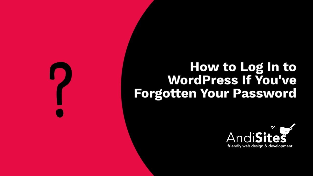 How to Log In to WordPress If You've Forgotten Your Password