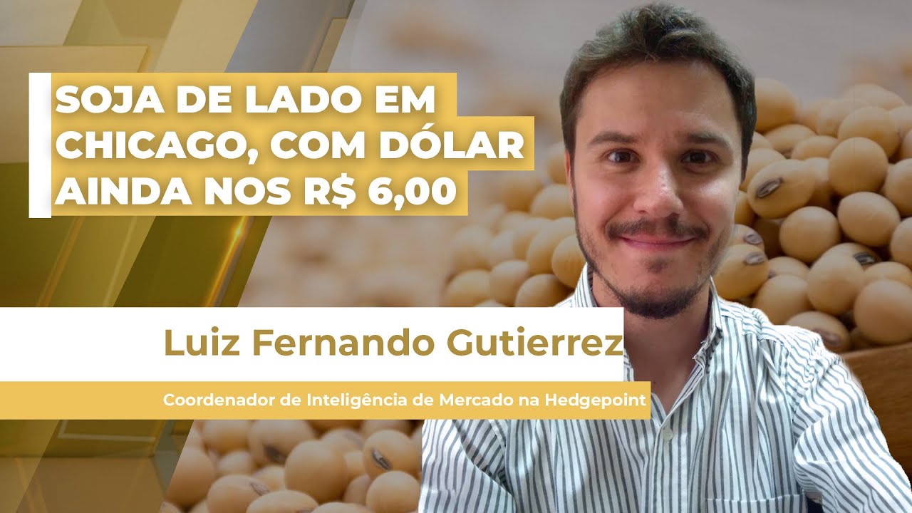 Preços da soja no BR ainda se apoiam no dólar, enquanto Chicago caminha de lado e prêmios voltam...