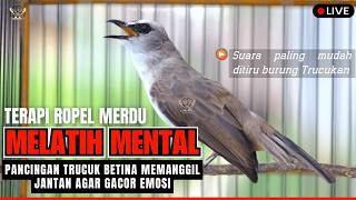 Download lagu 🔴PASTI NYAUT‼️ TRUCUKAN GACOR ROPEL PANJANG AMPUH UNTUK PANCINGAN TRUCUKAN BAHAN & MACET GACOR mp3
