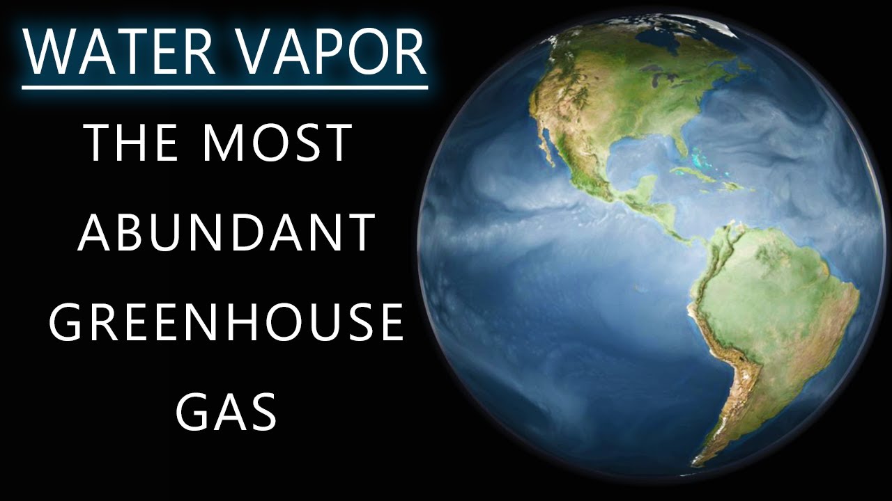 What happens to water vapor as it rises higher in the atmosphere?