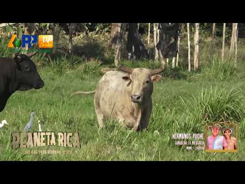 Ganadería La Milagrosa para Planeta Rica 2026.