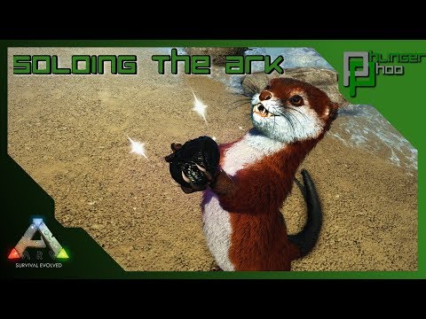 SOLOING THE ARK Live! w/ Phlinger Phoo!