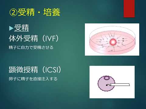 NASAの火星探査車