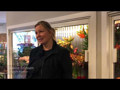 TV: Ljusa Ljungskile