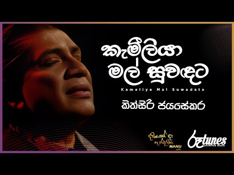 Kameliya Mal Suwadata | කැමීලියා මල් සුවඳට | Kithsiri Jayasekara | DAWASAK DA HANDAWAKA @RooTunes