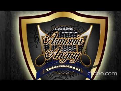 ARMONIA ANGUY MIX MERCEDINA