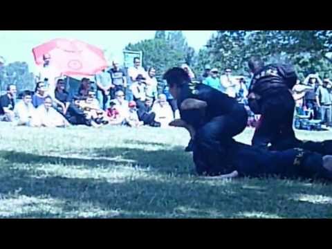 Payman Kayvanfar 2013 Demo May Video#11032