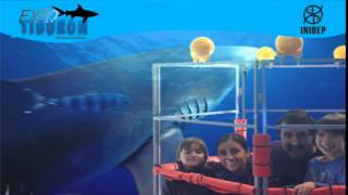 DIA 3 Expo Tiburon72