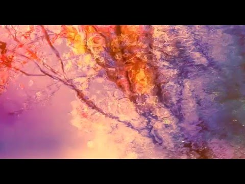 Early Spring——————初春（原创）（视频）