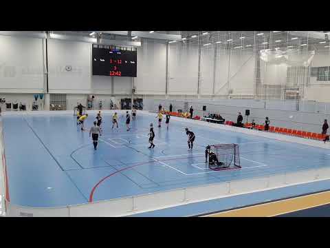 Hatsina P16 - TopTeam