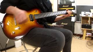 Video thumbnail for Parker PM20 Clean by Heavy Gauge Guitars