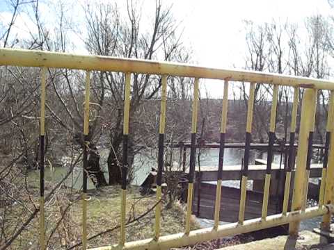 Tantava anului  2008