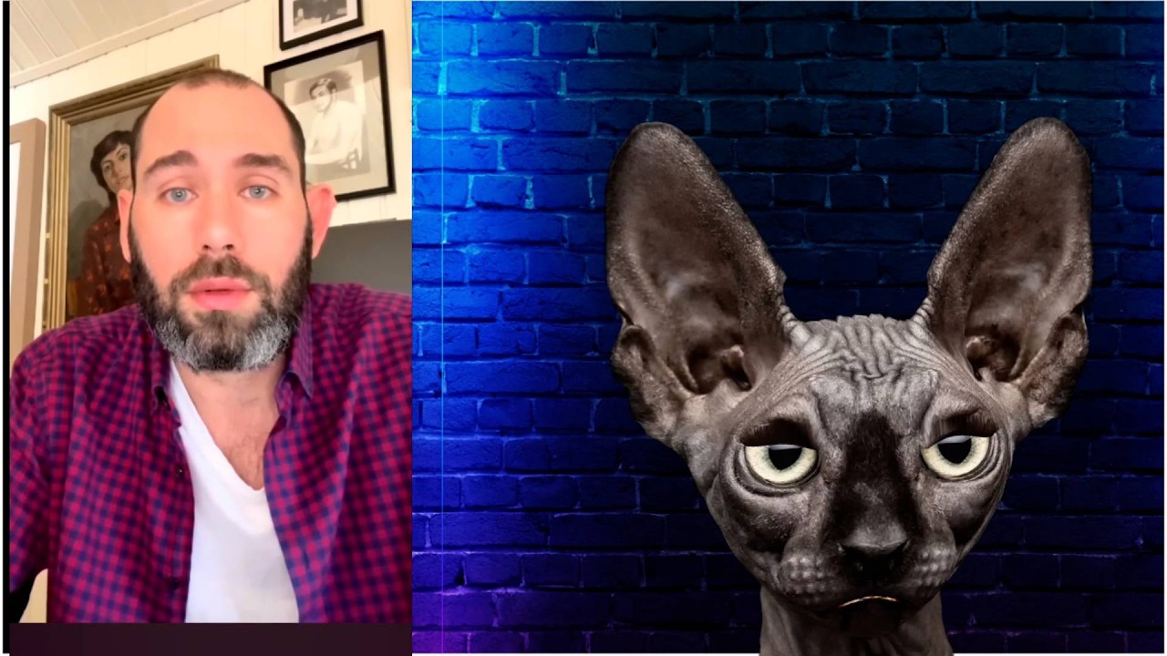 Либерадрильные войска. Начало конца. Костян.