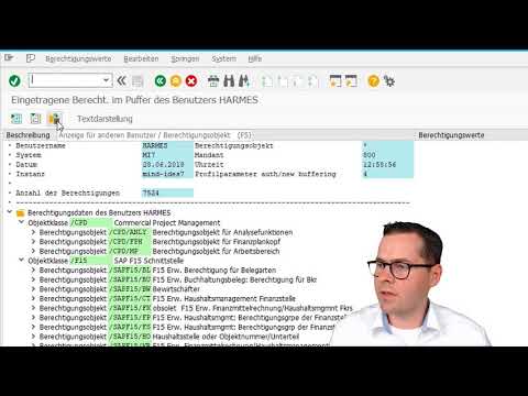 SoD-Troubleshooting - Funktionstrennungskonflikte im SAP | rz10.de