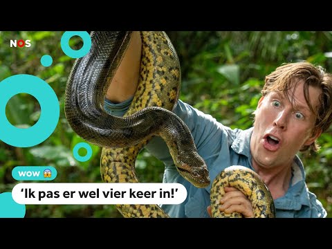 Freek Vonk ontdekt nieuwe slangensoort