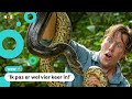 Freek Vonk Ontdekt Nieuwe Slangensoort