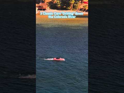 Thumbnail for 3 Amphicar Classic cars "Driving down Colorado River #amphicar #shorts #watercar #amphibiousvehicle by Amphicar