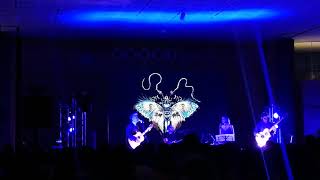 La Distancia (Acústica) - La Gusana Ciega