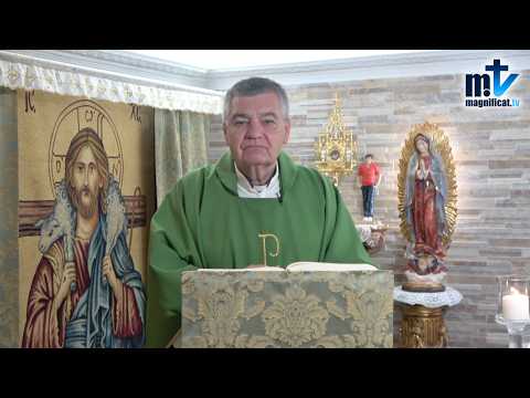 "La Primera Ley Cristiana es la del Amor" | Homilía, Lunes, XXIII Semana del Tiempo Ordinario (07-09-2026) | P. Santiago Martín, FM