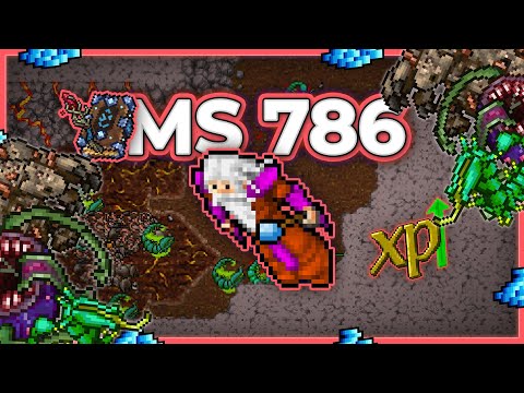 MS 786 Hunt Solo Antrum of the Fallen 3kk/h Raw 1.7kk Profit - Tibia Hunt [13.21] #tibia #tibiahunt