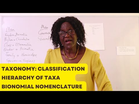 Taxonomy: Classification, Binomial nomenclature, Hierarchy of Taxa, Systematics