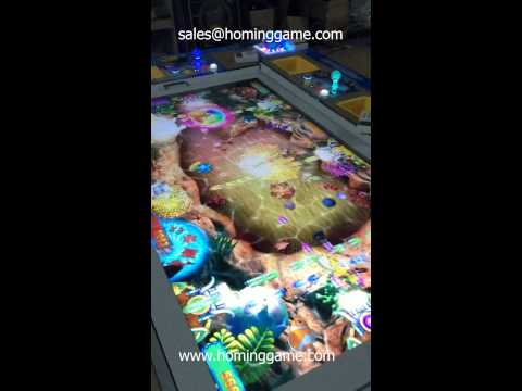 AKA fish game machine introduction 022 (www.hominggame.com)