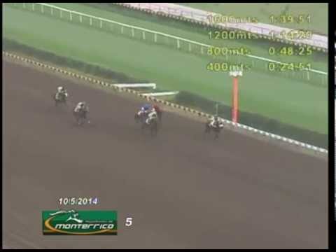 LOLO FOREVER - Clásico ASOCIACIONDE PERIODISTAS HIPICOS DEL PERU 2014