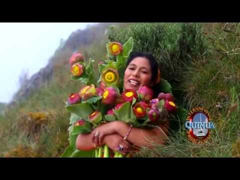 Haydee Pizarro   Yo tengo 7 vidas