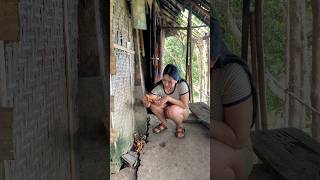 Download lagu Found turmeric in grandma's garden mp3