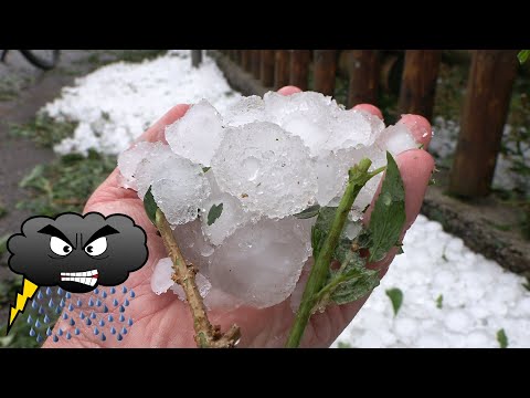 HAGELUNWETTER bei Augsburg (Bayern) | Garten ZERSTÖRT | 26. August 2023