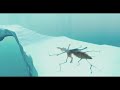 The Quasi Clause 2 Trailer