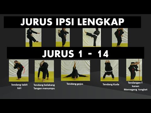 Complete Moves 1-14! IPSI Single Category Pencak Silat Moves