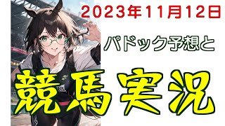 パドック予想で競馬実況.2023.11.12