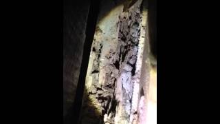preview picture of video 'Damage Caused by Gold Coast Termites | The Pest Company'