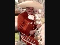 Vicente Fernandez vendran palomas negras
