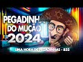 PEGADINHA DO MUÇÃO 1 HORA DE PEGADINHA 832 MUÇÃO PEGADINHA MUÇÃO2025