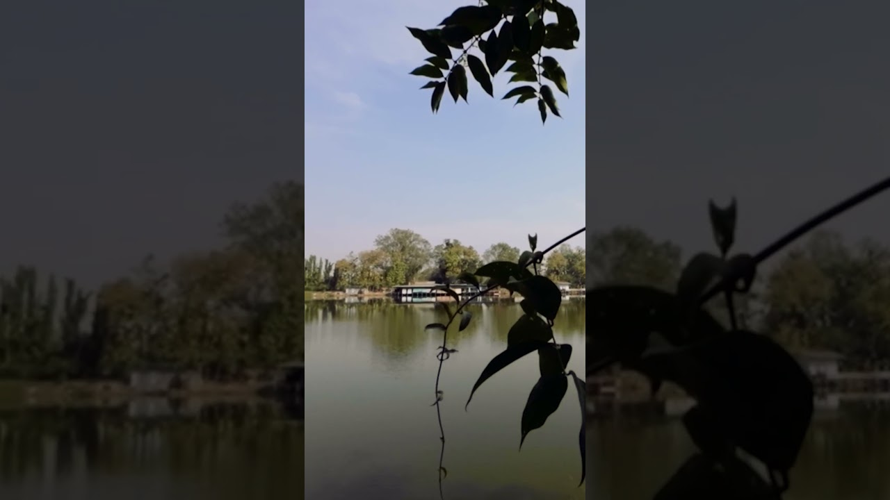 YouTube Short thumbnail