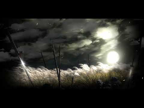 Beautiful piano cover (1 hour) of Teresa Teng's '月亮代表我的心, The Moon Represents My Heart'.