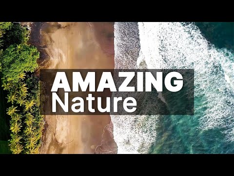 Amazing nature with sound IN 4K 60fps HDR (ULTRA HD) || Nature 4K
