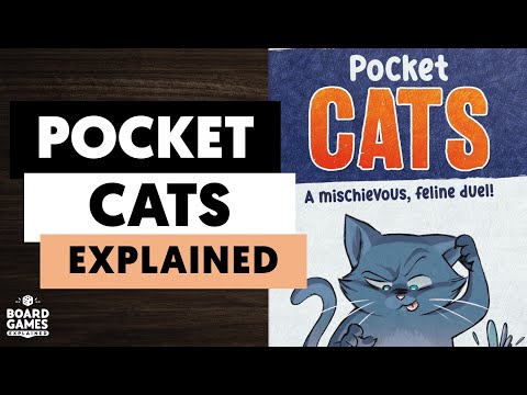 Pocket Cats Explained in 2 minutes