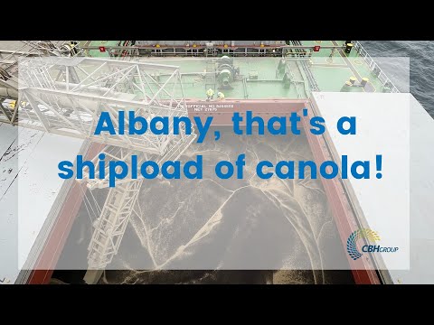 CBH loads Albany's largest cargo of canola on the largest ship to berth there.