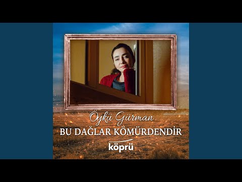 Video Yükleniyor...