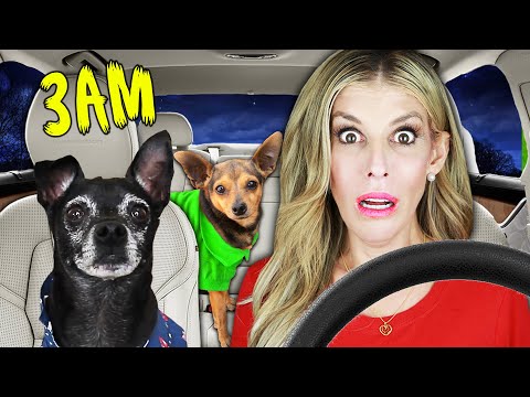 LAST TO LEAVE TESLA WINS $10,000!!