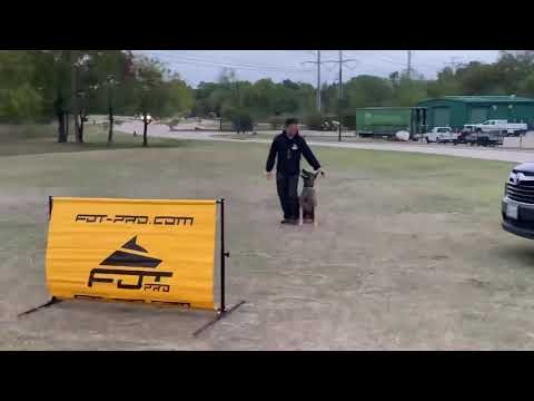 Excellent PSA 2 training