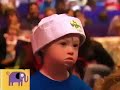 Noggin S Critter Corner Dogs The Wiggles V2